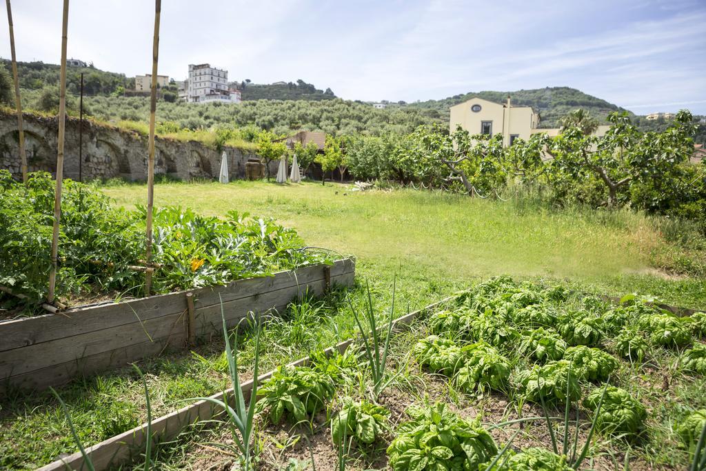 Relais Regina Giovanna Hotel Sorrento Exterior photo