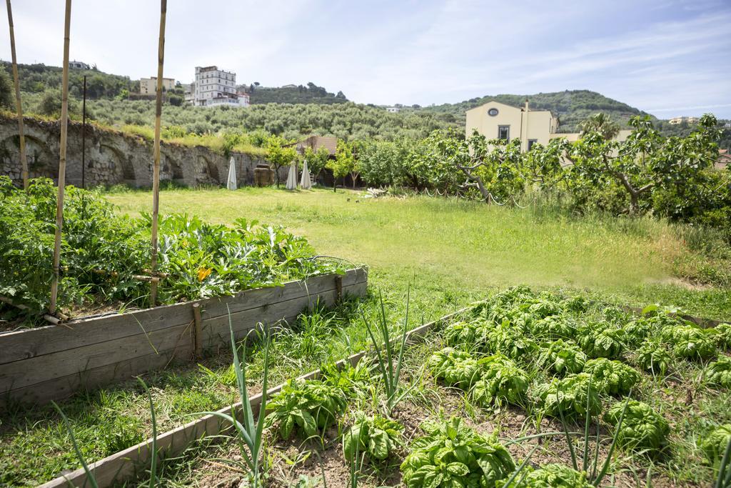 Relais Regina Giovanna Sorrento Exterior photo
