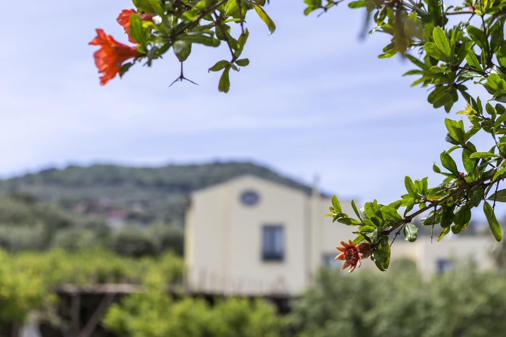 Relais Regina Giovanna Sorrento Exterior photo
