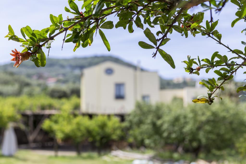 Relais Regina Giovanna Sorrento Exterior photo
